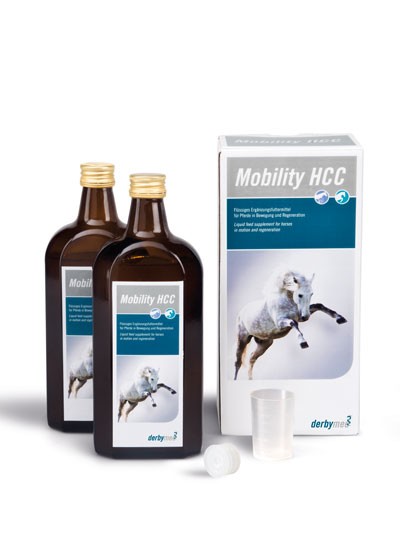 derbymed mobility 