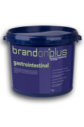 BrandonPlus Gastrointestinal für Pferde im 3kg Eimer